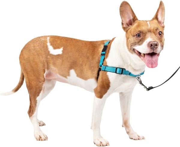 PetSafe Deluxe Easy Walk Nylon Reflective No Pull Dog Harness