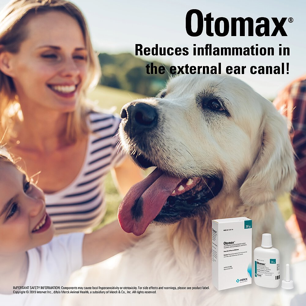 Otomax (Gentamicin / Betamethasone / Clotrimazole) Otic Ointment for Dogs