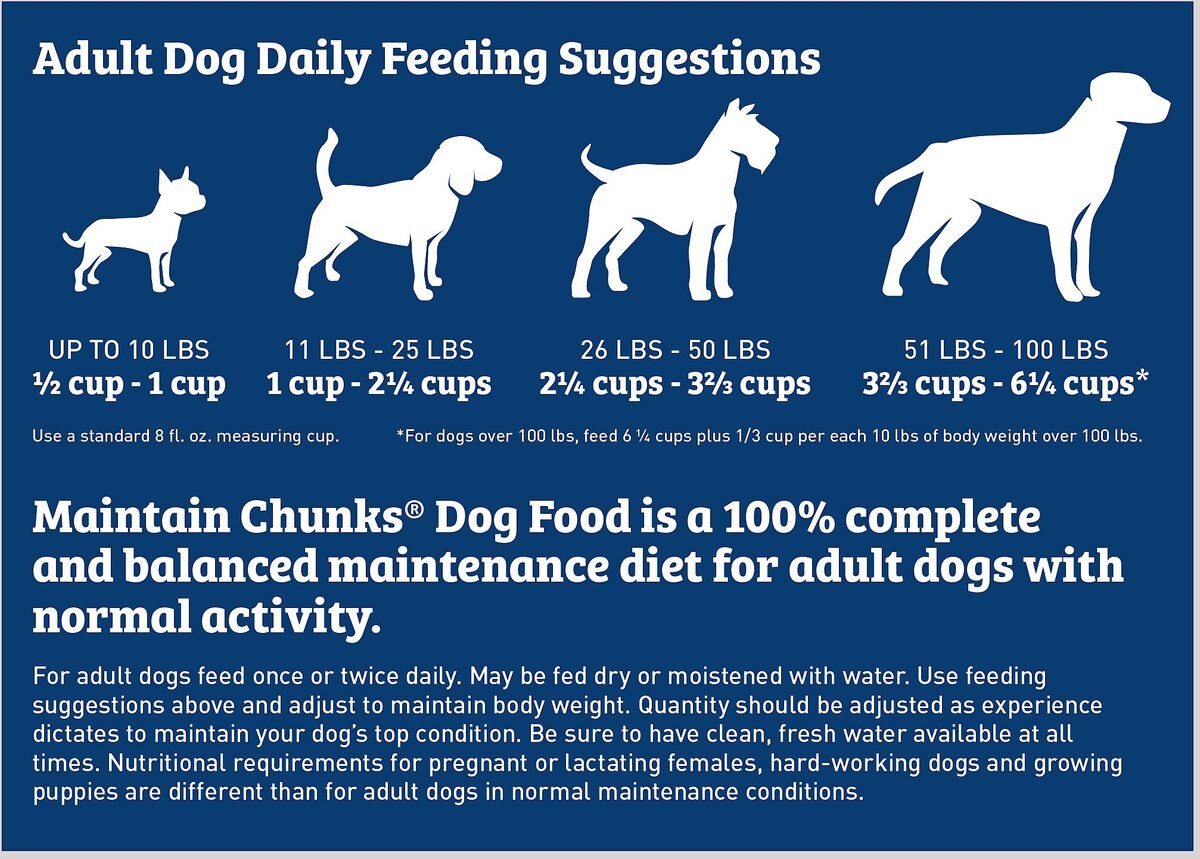 Maintain Chunks Meaty Flavor Dry Dog Food