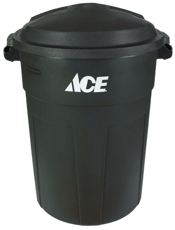 Ace Green 32 Gallon Plastic Outdoor Garbage Can with Lid