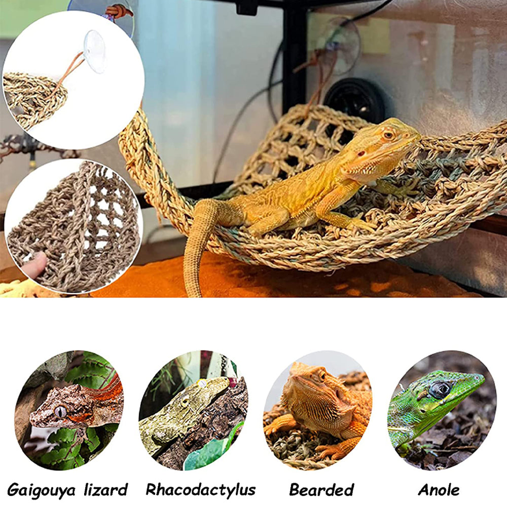 Ugerlov Bearded Dragon Hammock Set，Lizard Lounger Hammock，100% Natural Seagrass Fibers Hammock for Reptiles，Reptile Leaves Decor Accessories for Chameleon，Lizards，Gecko，Snakes