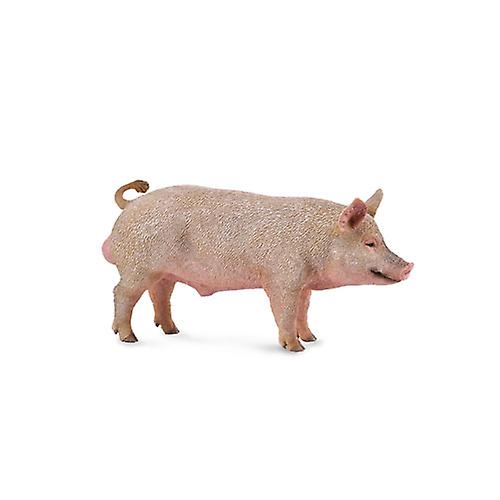 CollectA Pig Figure (Medium) (Boar)