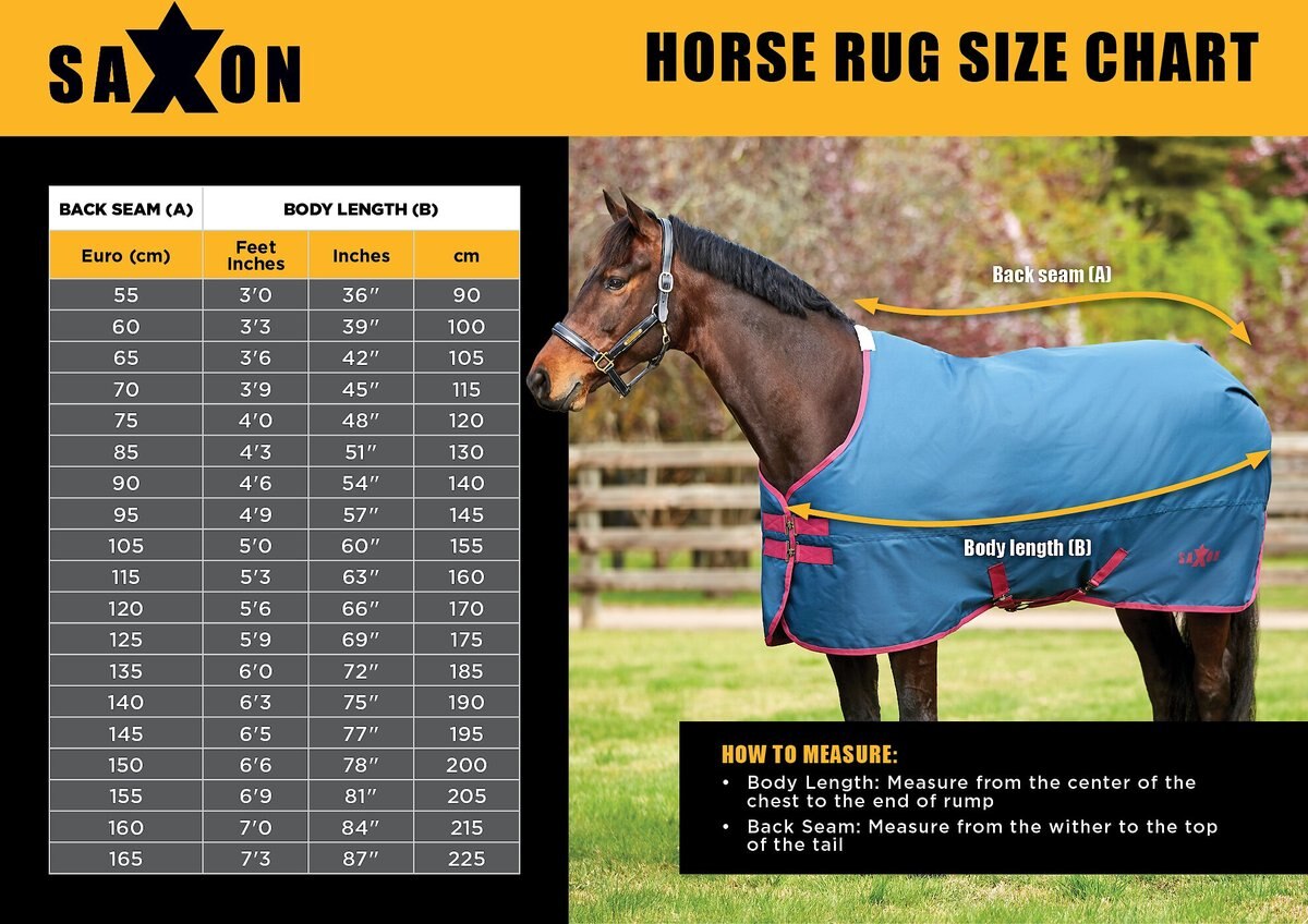 Saxon 210D With Gusset Standard Neck Medium II Horse Blanket