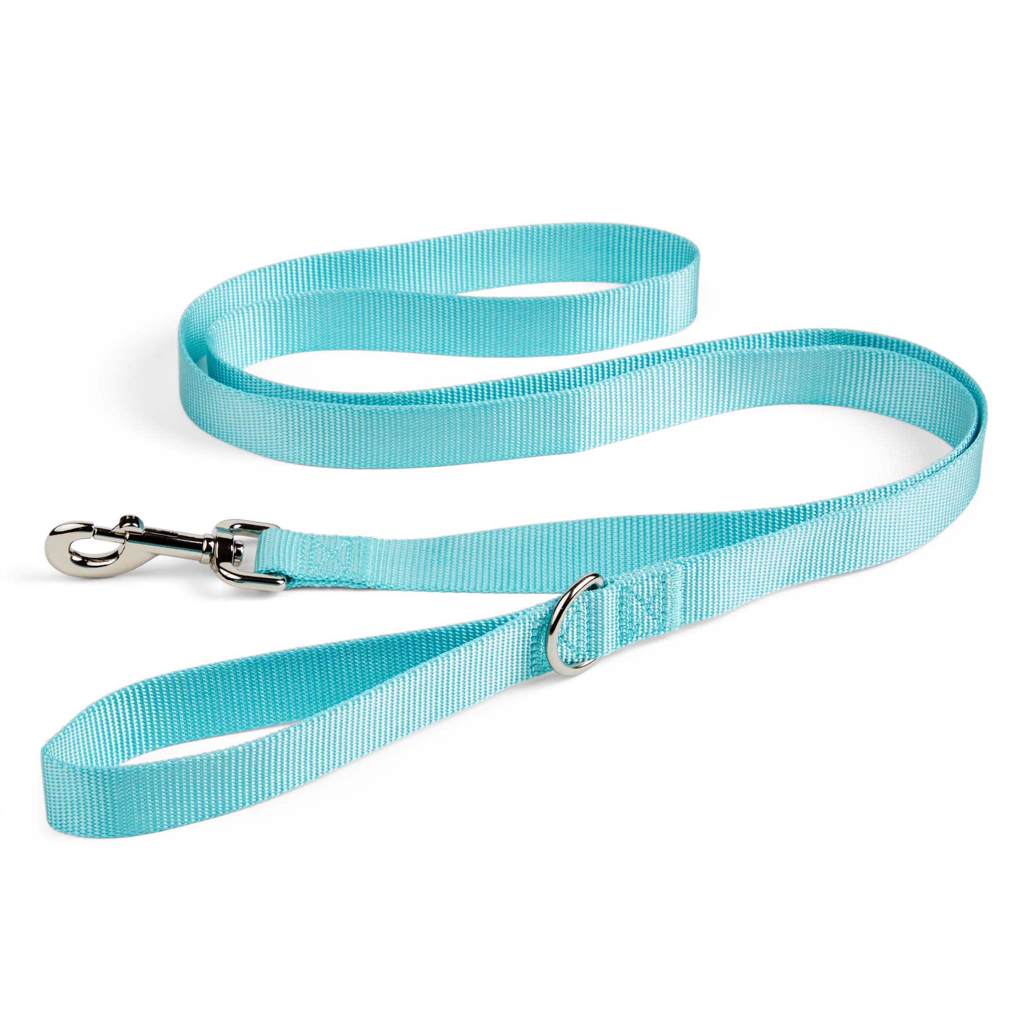 YOULY Turquoise Dog Lead， 6 ft.， X-Small