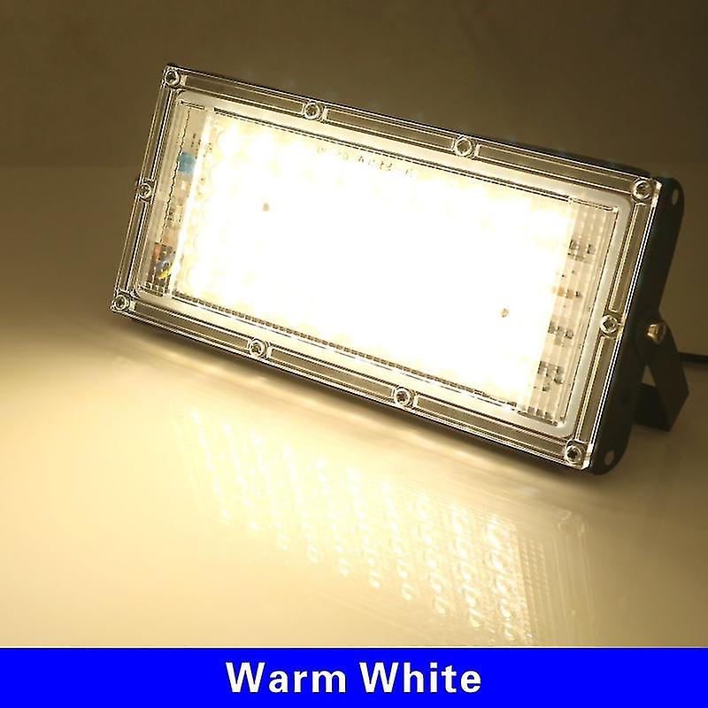 Born Pretty 50w Ip65 Waterproof Outdoor Led Floodlight