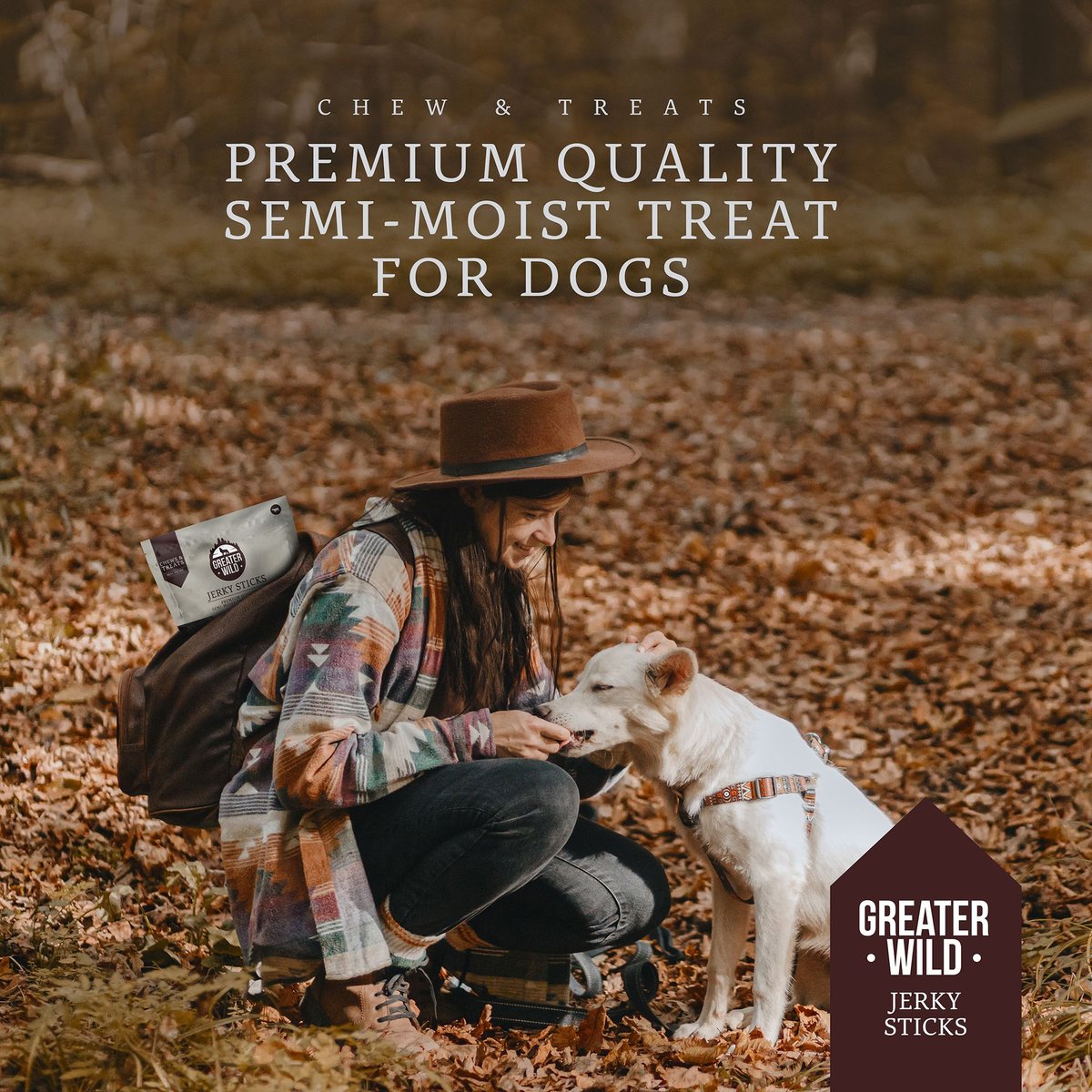 Greater Wild Premium Beef Flavored Jerky Dog Treats