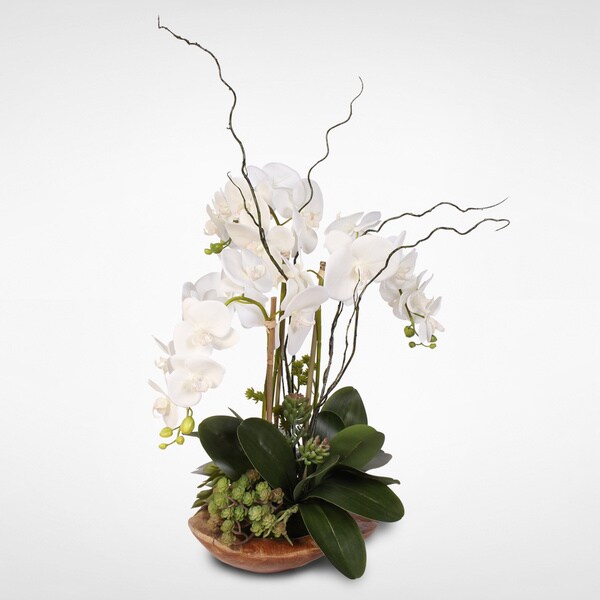 Real Touch Phalaenopsis Silk Orchid with Curly Willow in Natural Teak Wood Bowl