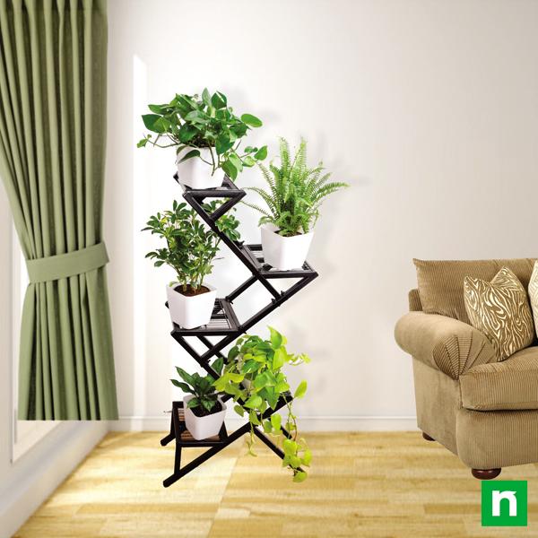 Amazing plants on metal stand for indirect light receiving home space