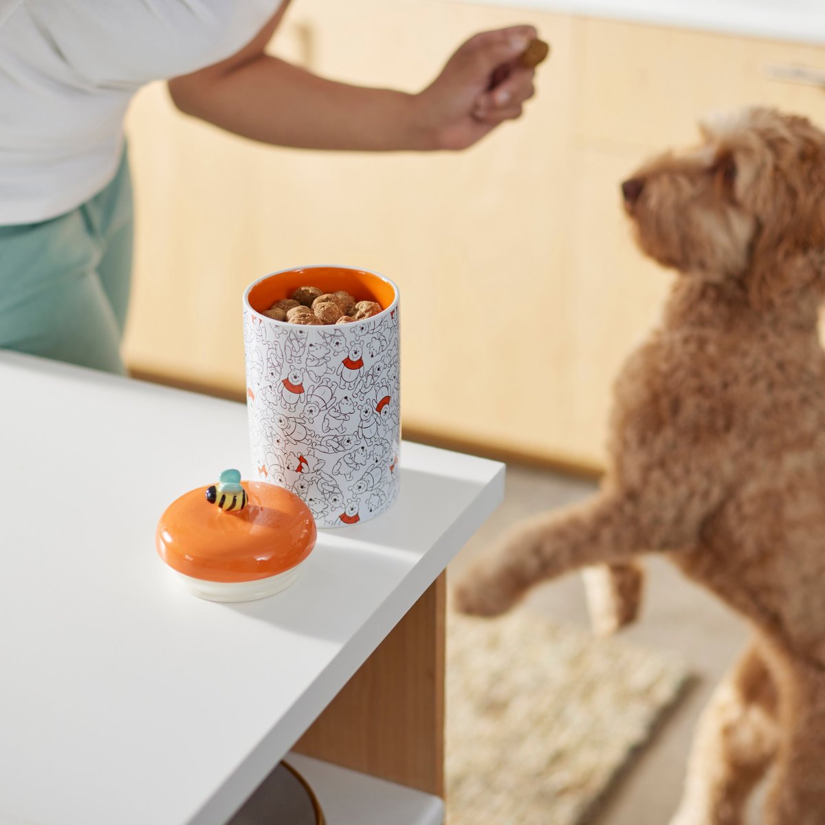 Disney Winnie the Pooh Orange Ceramic Dog and Cat Treat Jar