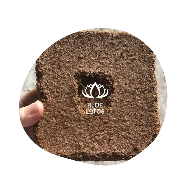 Top Quality Best Selling Peat Moss Coconut Coir Pellets Seedling Soil Block 5kg Coco Peat Garden Plants From Blue Lotus Viet Nam