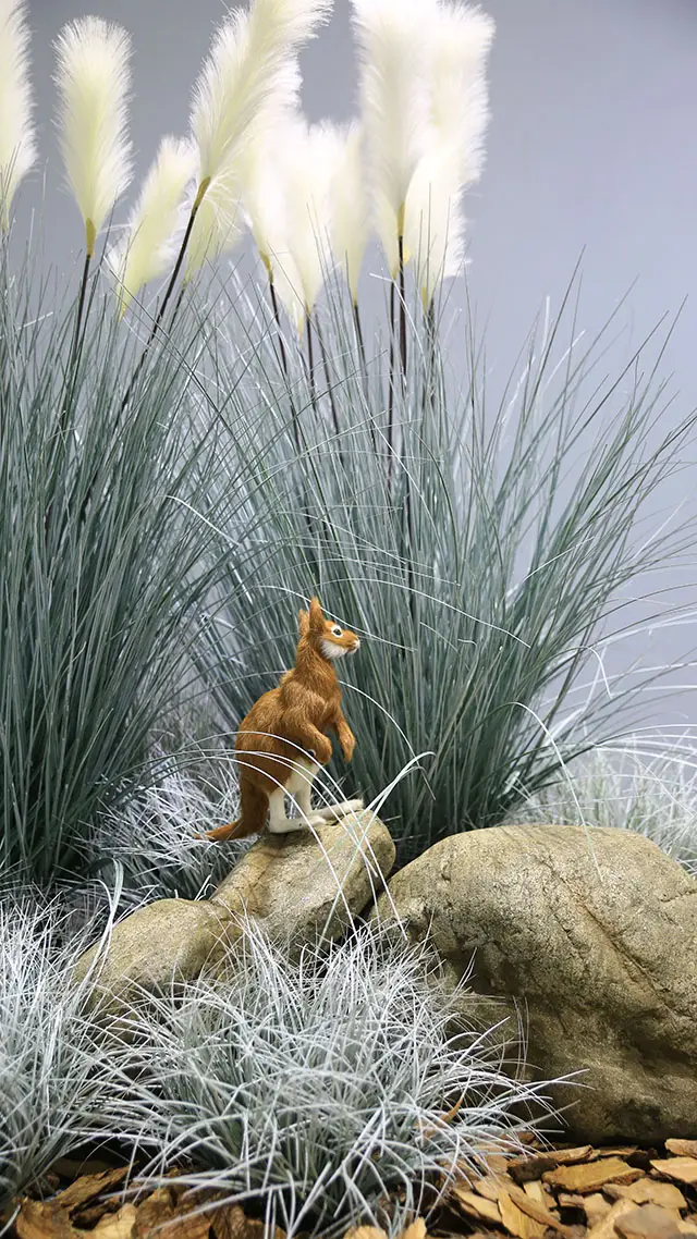 11 pine bark reed waterfall stone onion grass lawn gray white curved line grass mother and child kangaroo artificial landscape