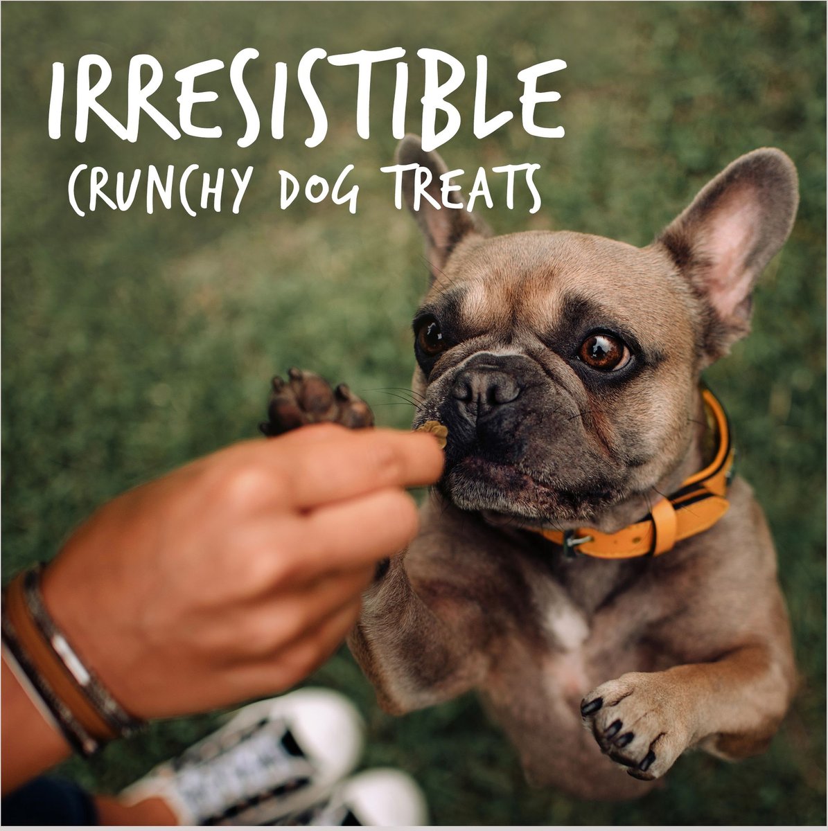 Fruitables Skinny Minis Rotisserie Chicken Flavor Soft and Chewy Dog Treats