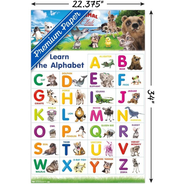 Trends International Animal Club Letters Abc Unframed Wall Poster Prints