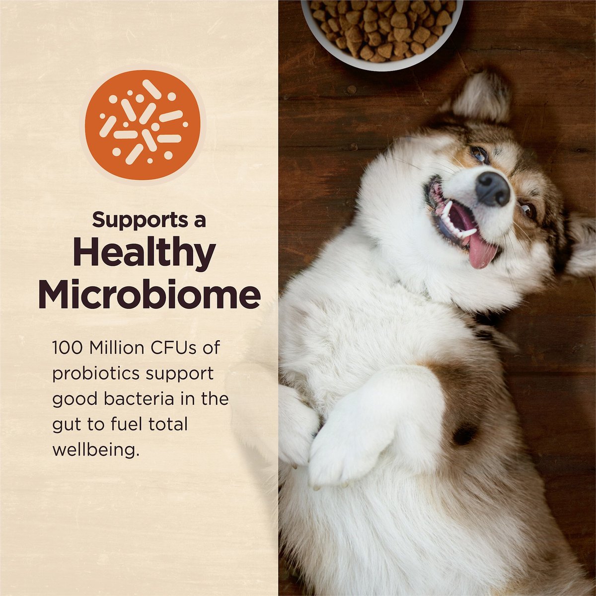 Wellness CORE Digestive Health Wholesome Grains Chicken and Brown Rice Recipe Dry Dog Food