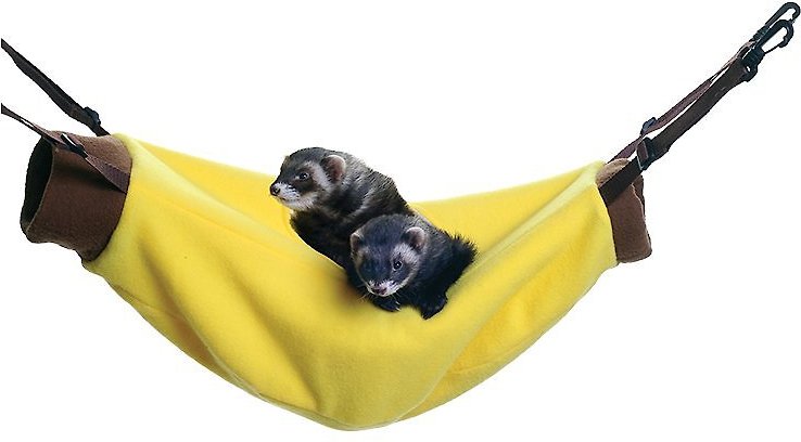 Marshall Hanging Ferret Hammock