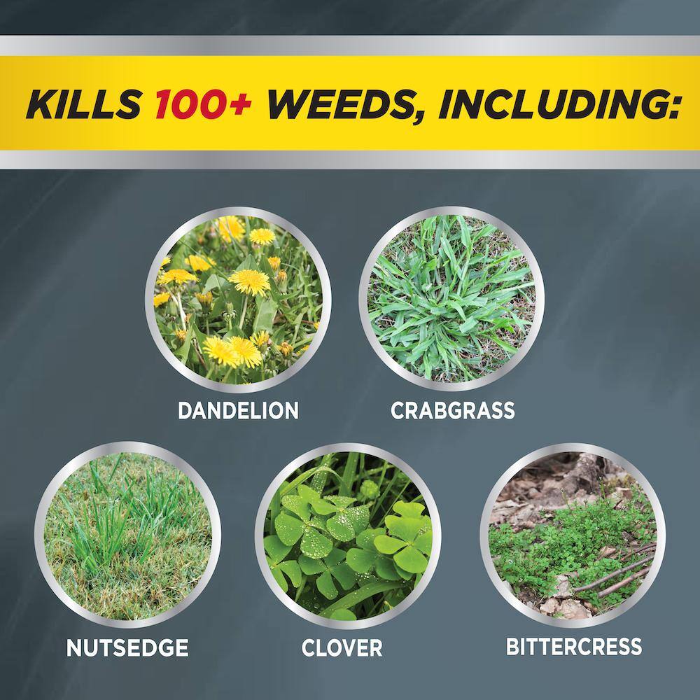 IMAGE Herbicides All-In-One Lawn Weed Killer Concentrate 100523495