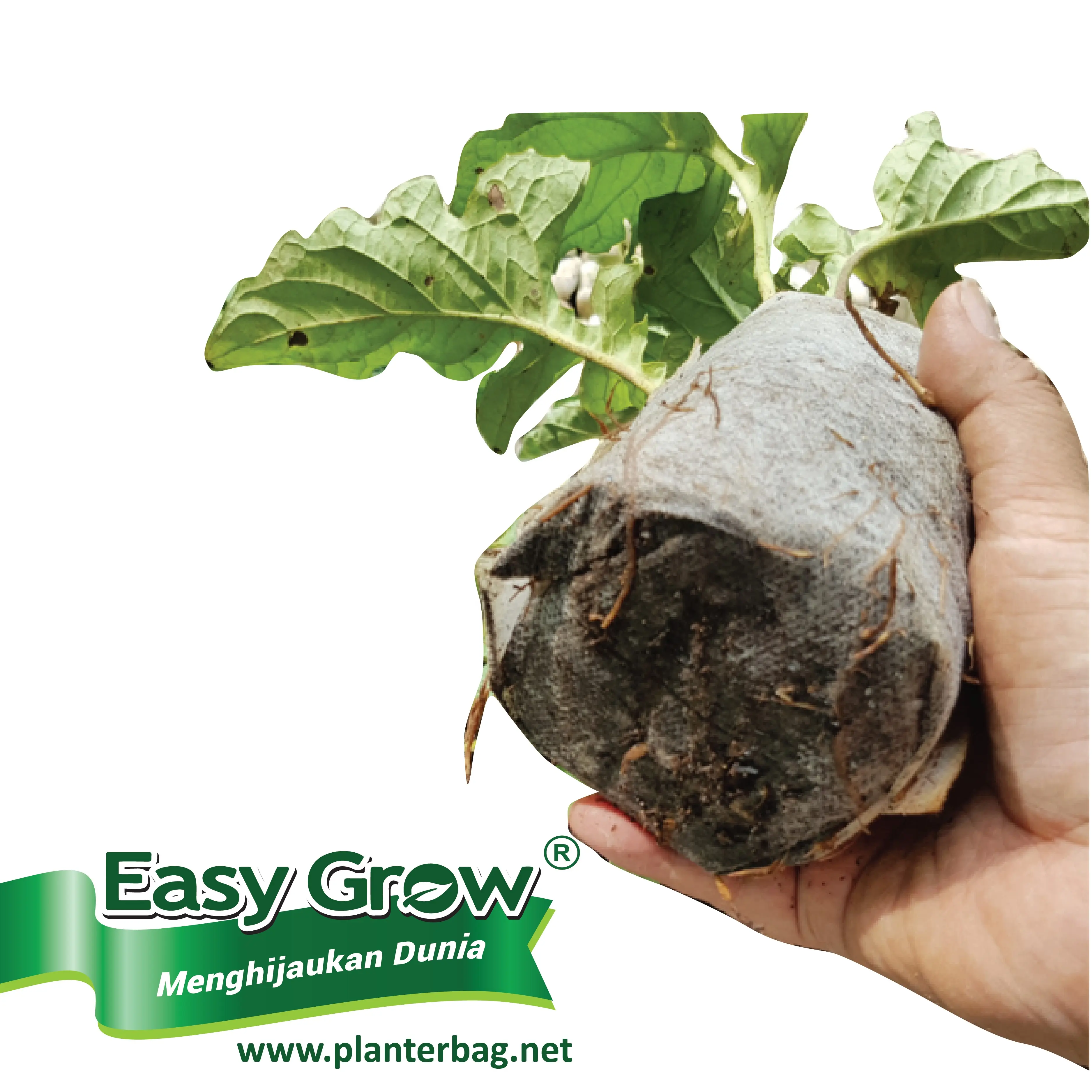 Nursery Plant Seedlings Grow Bag Non Woven Breathable Eco friendly  Size Black White Easy To Use