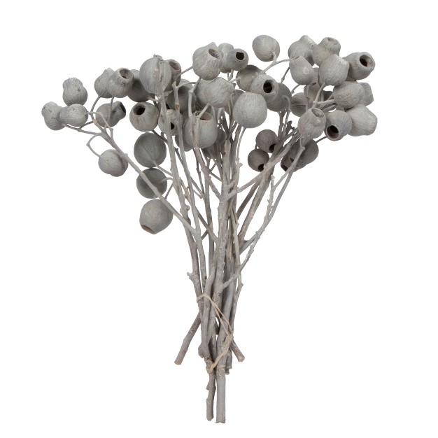 X 4 quot Bellgum Branch 5 7 Bells Ivory Frosted 10 Stems Per Unit