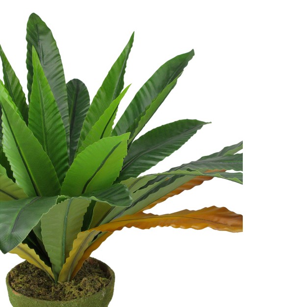 Bird Nest Fern Artificial Potted Plant Green brown