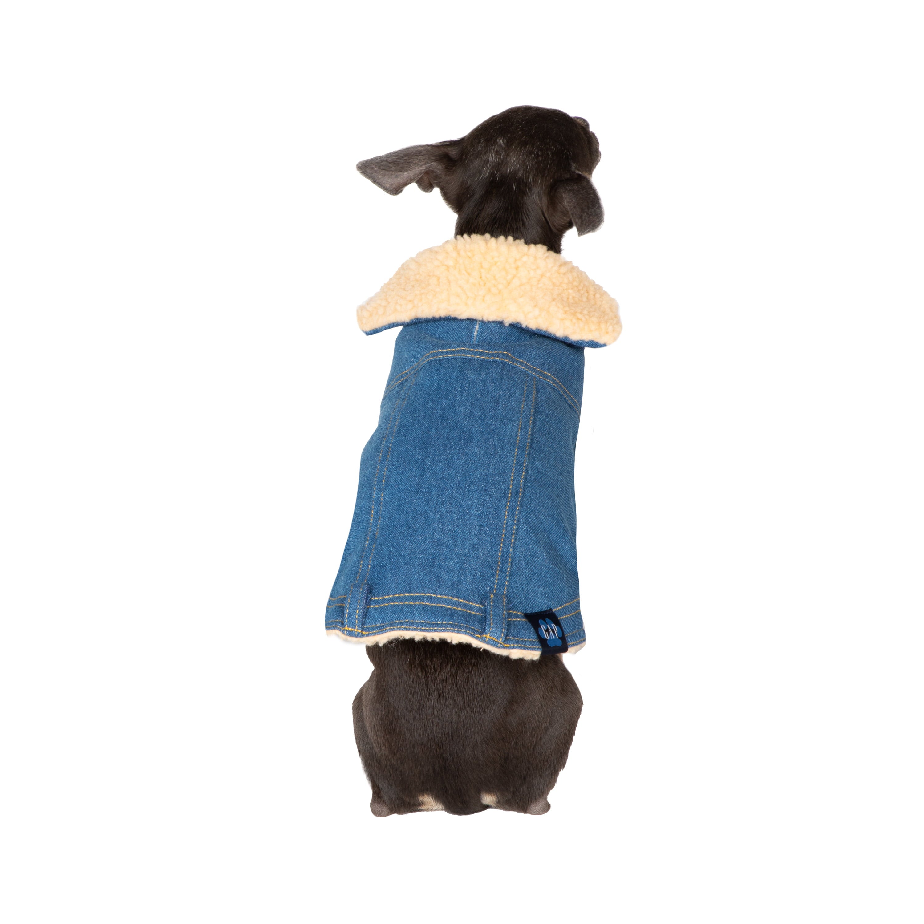 Gap Pet， Dog Clothes， Blue Denim Pet Jacket