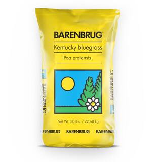 Barenbrug 50 lb. Barrister Kentucky Bluegrass Seed 25076