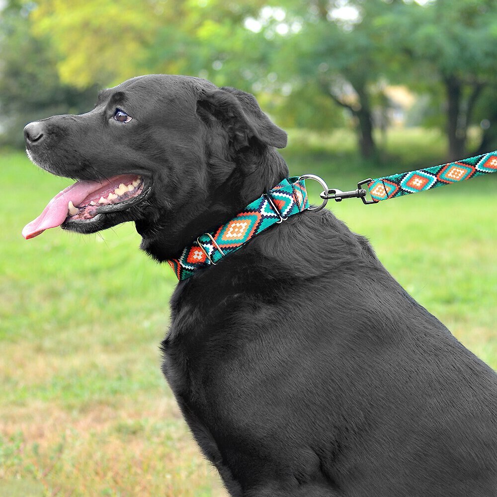 CollarDirect Tribal Aztec Nylon Martingale Dog Collar