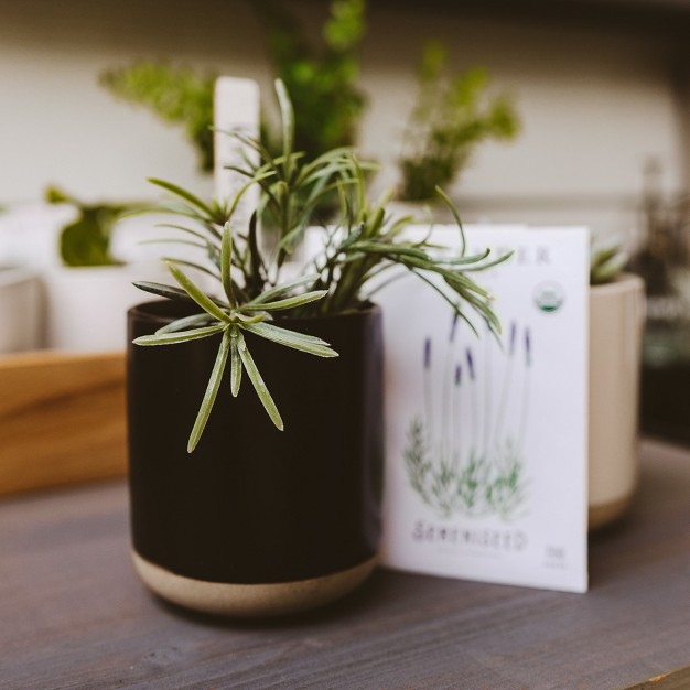 Sweet Water Decor Black Stoneware Plant Jar