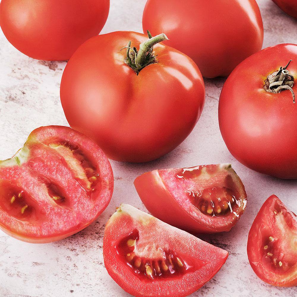 Bonnie Plants 6PK Tomato - Creole 0235