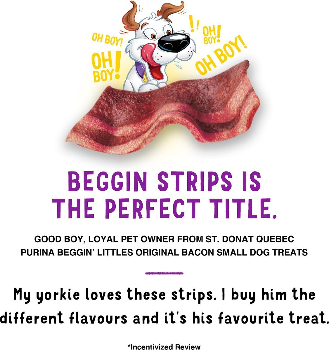 Purina Beggin' Real Meat Fun Size Original with Bacon Flavored Dog Treats