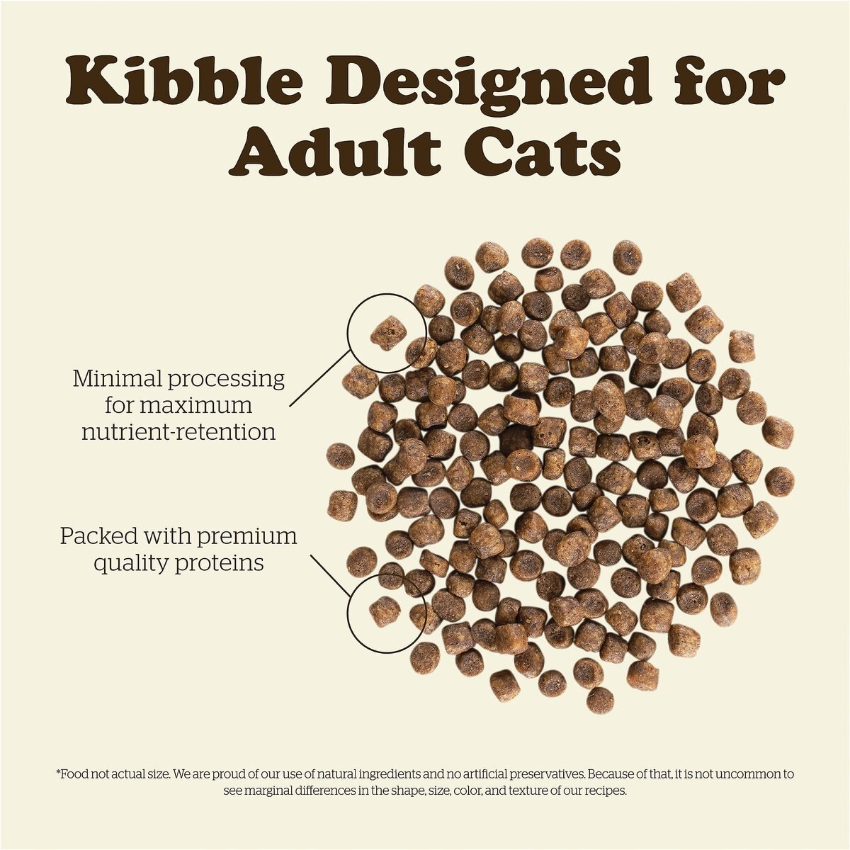 Now Fresh Grain-Free Adult Recipe Dry Cat Food