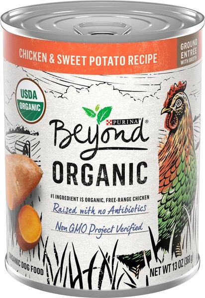 Purina Beyond Organic Chicken and Sweet Potato Recipe Wet Dog Food， 13-oz can， case of 12