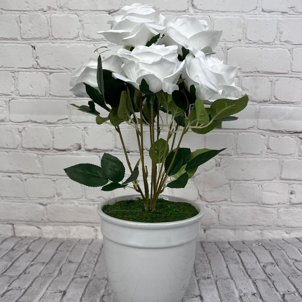 Gorgeous Roses in Ceramic Pot