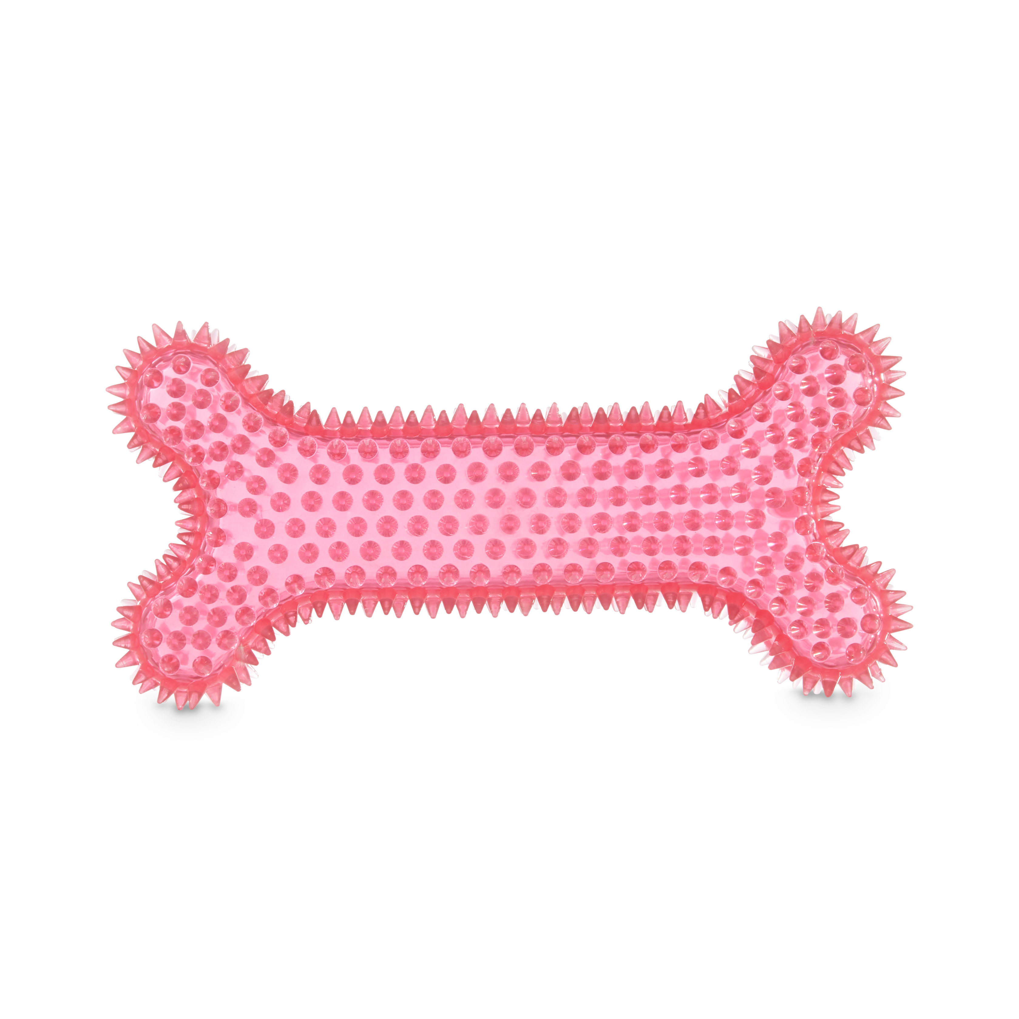 Leaps  Bounds Spiny Bone Dog Chew Toy in Various Styles， Medium