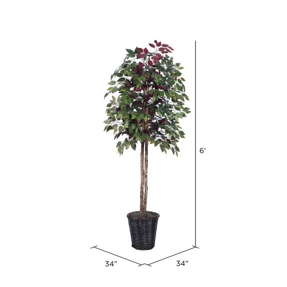 Vickerman Capensia tree