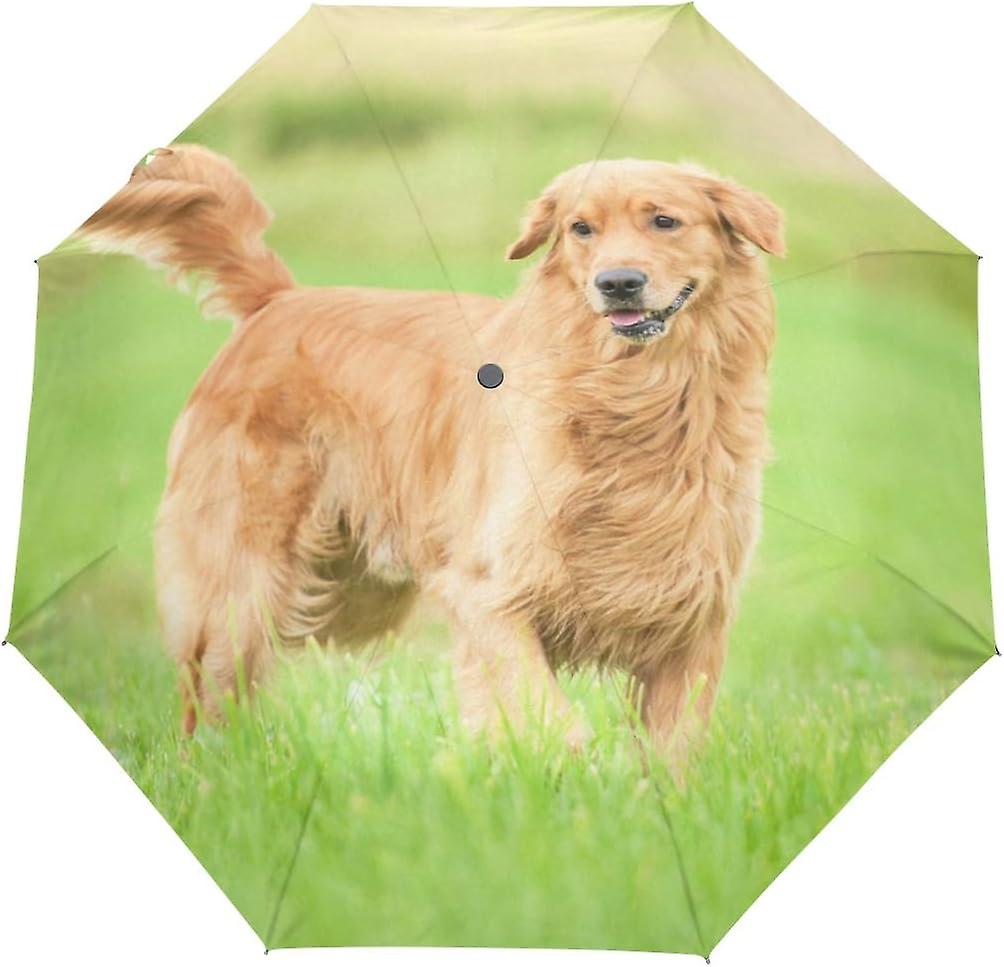 Travel Umbrella Automatic Windproof Foldable Umbrella Golden Retriever Running On Grass