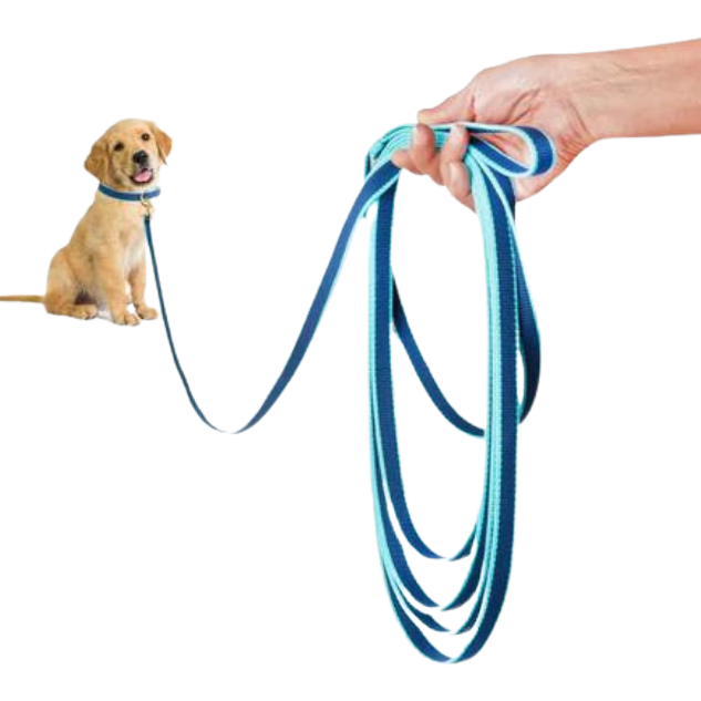 Training Leash | Navy & Aqua