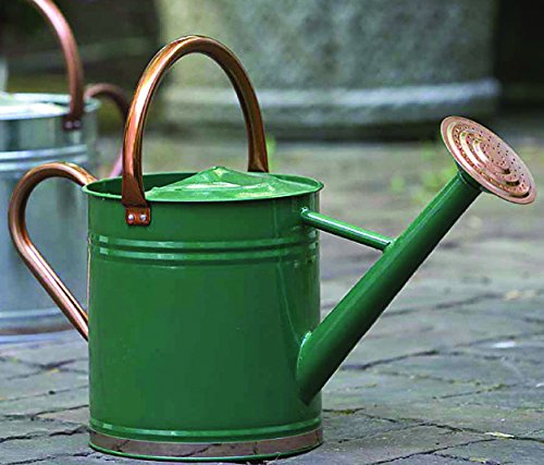 Gardman 1 GALLON HUNTER GREEN WATERING CAN WITH COPPER ACCENTS