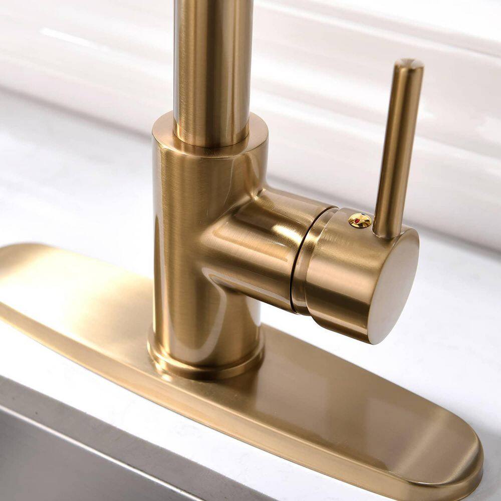 FLG Single-Handle Commercial Kitchen Sink Faucet With Pull Down Sprayer Kitchen Faucets Solid Brass Modern Taps Brushed Gold CC-0021-BG