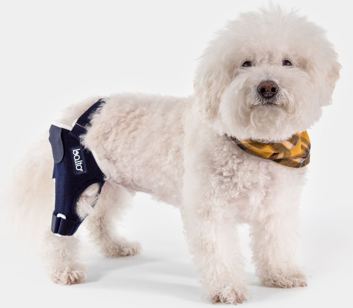 Balto Jump Dog Knee Brace