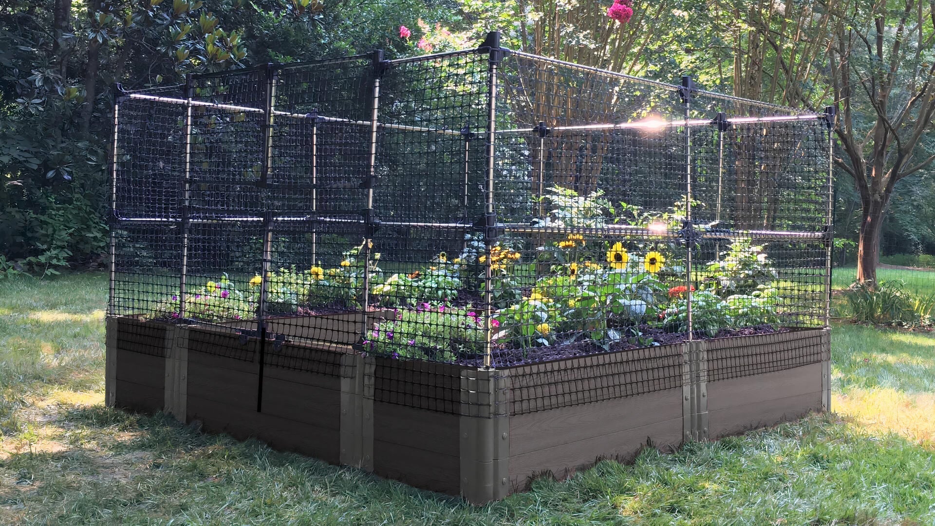 Walk-In 'Alamo' 8' x 8' Animal Barrier Raised Garden Bed - 2