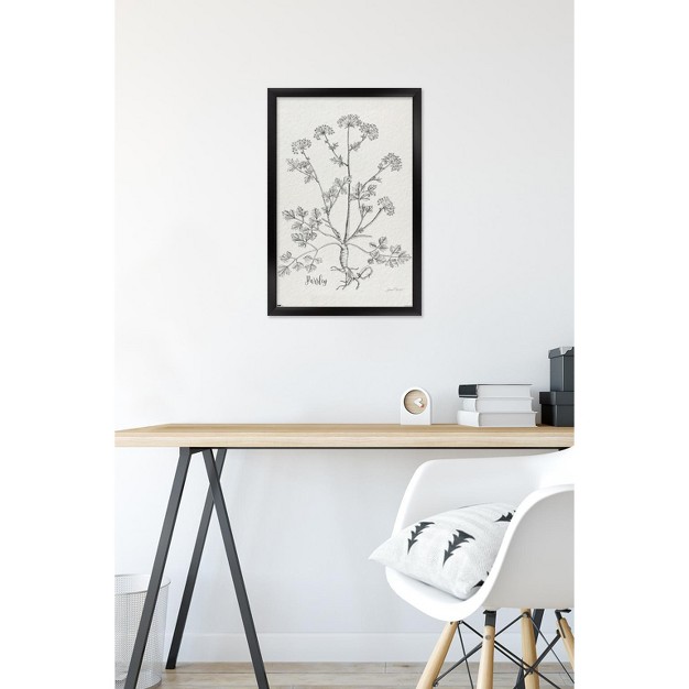 Trends International Jean Plout Botanical Studies On Paper Parsley Framed Wall Poster Prints