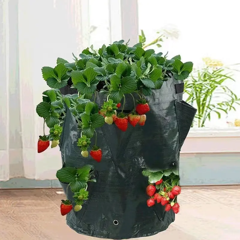 10 Gallon 6 8 Mouths Eco Friendly Biodegradable Strawberry Planting Vegetable Flower Herb Plant Container Greenhouse Grow Bags