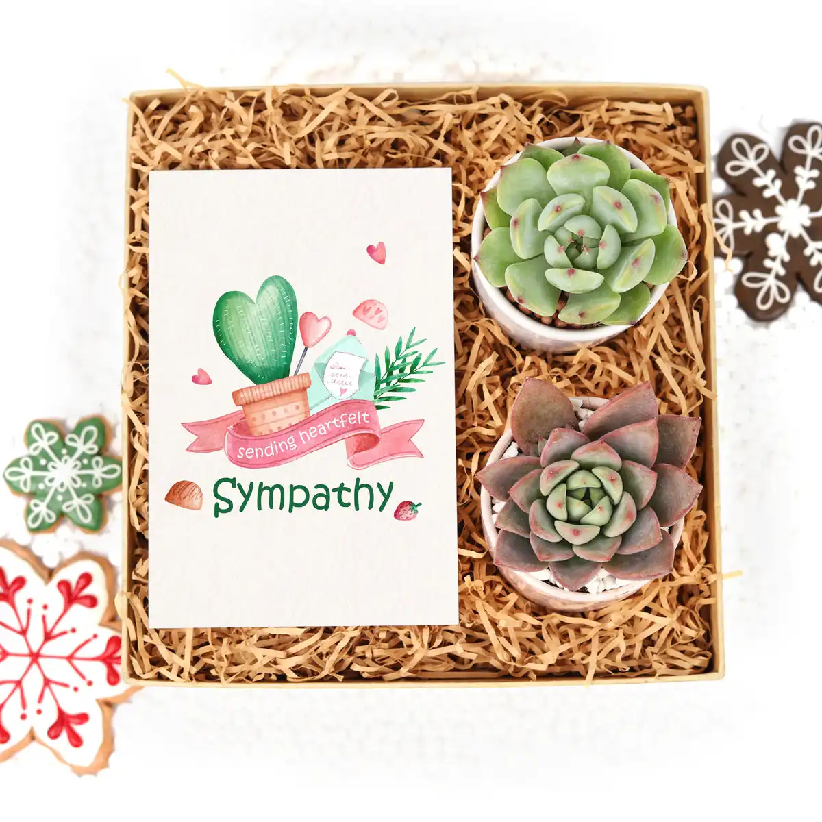 Unique And Beautiful Aesthetics Gift Boxes For Small Business Succulent Plants Candles Christmas Decoration Supplies