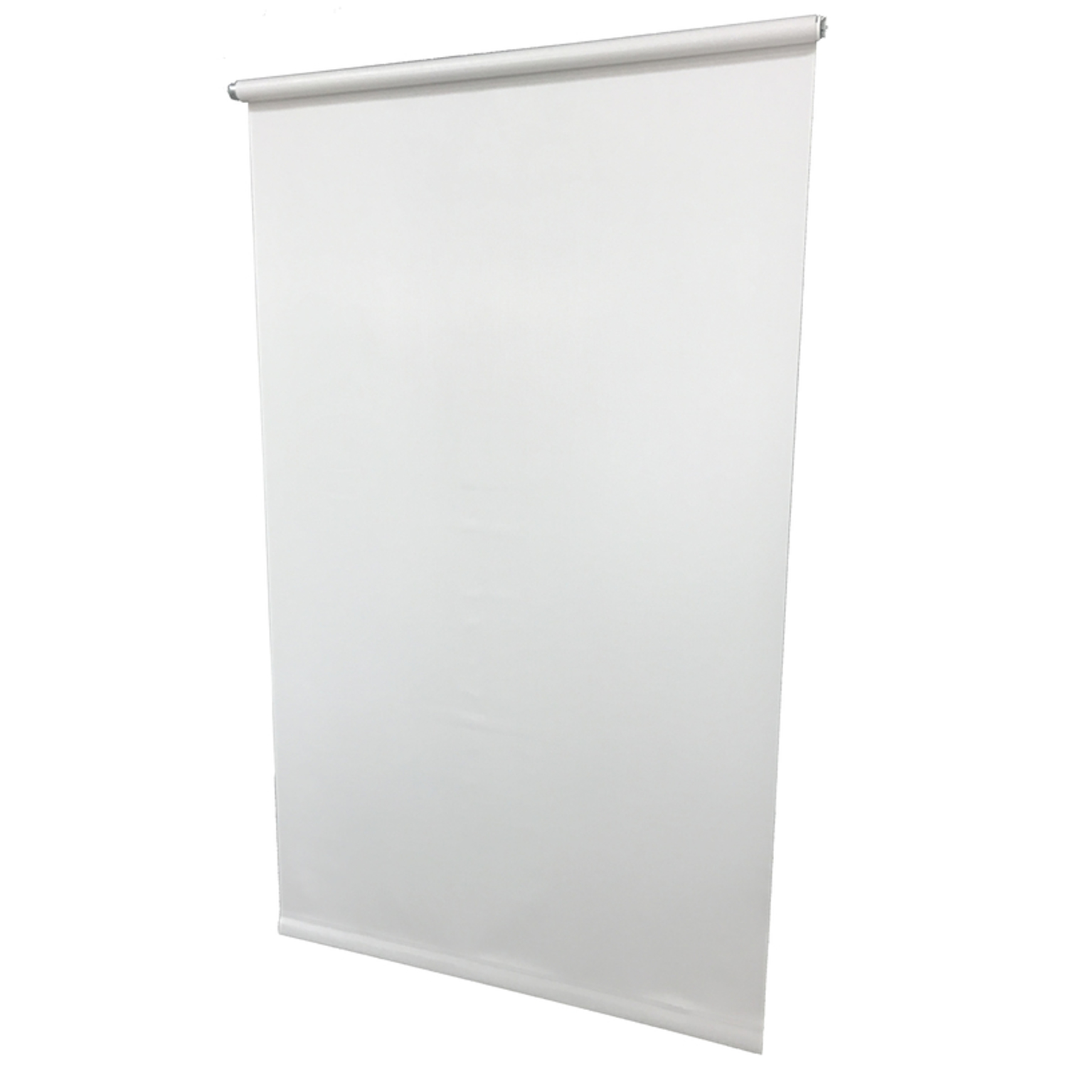 Friedland Venus White Roller Shade 55 in. W X 72 in. L