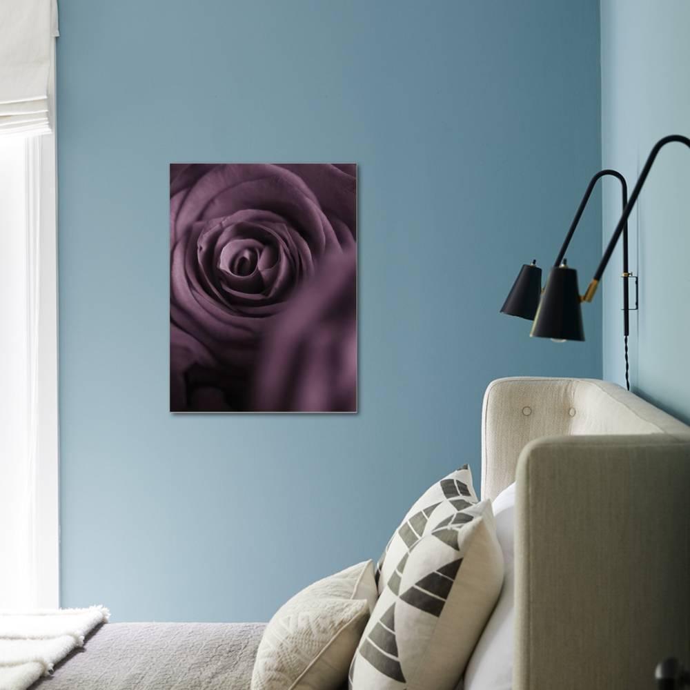 Deep Purple Rose， Botanical Stretched Canvas Wall Art by Clive Nichols Sold by ArtCom