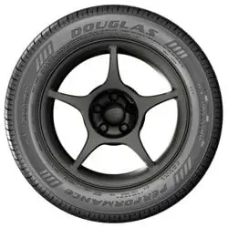 Douglas Performance 205/55R16 91H All-Season Tire