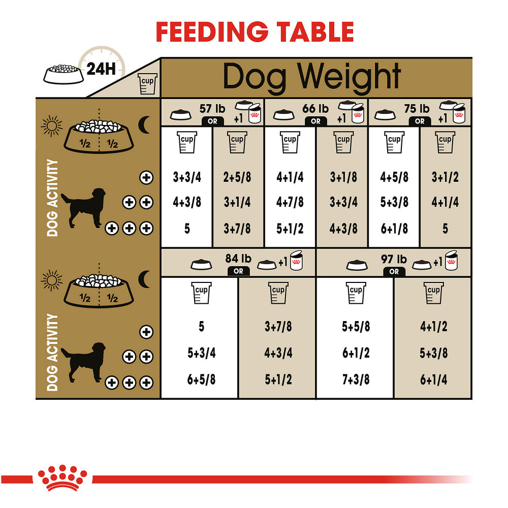 Royal Canin Breed Health Nutrition Labrador Retriever Adult Dry Dog Fo