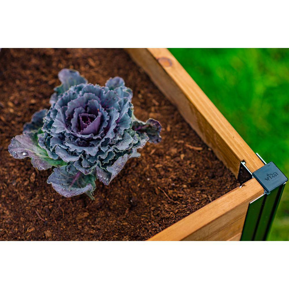 VITA Mezza 6'L x 6'W x 22H Cedar Keyhole Composting Garden Golden Brown VT17707 VT17707