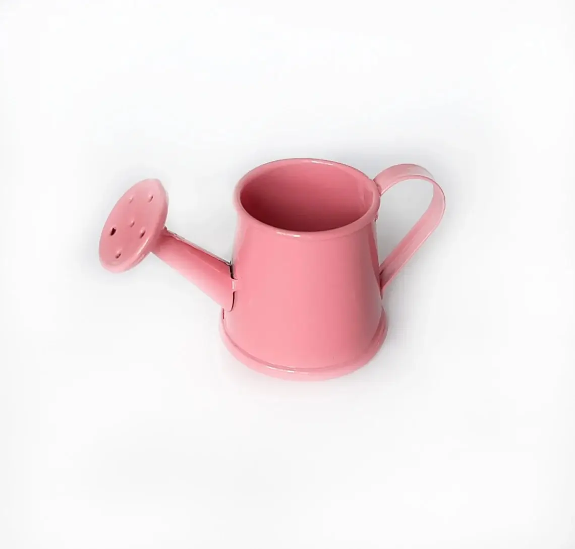 Garden Decorated Powder Coating Mini Watering Can Floral Arranging Craft Supplies Gardening Small Metal Watering Cans