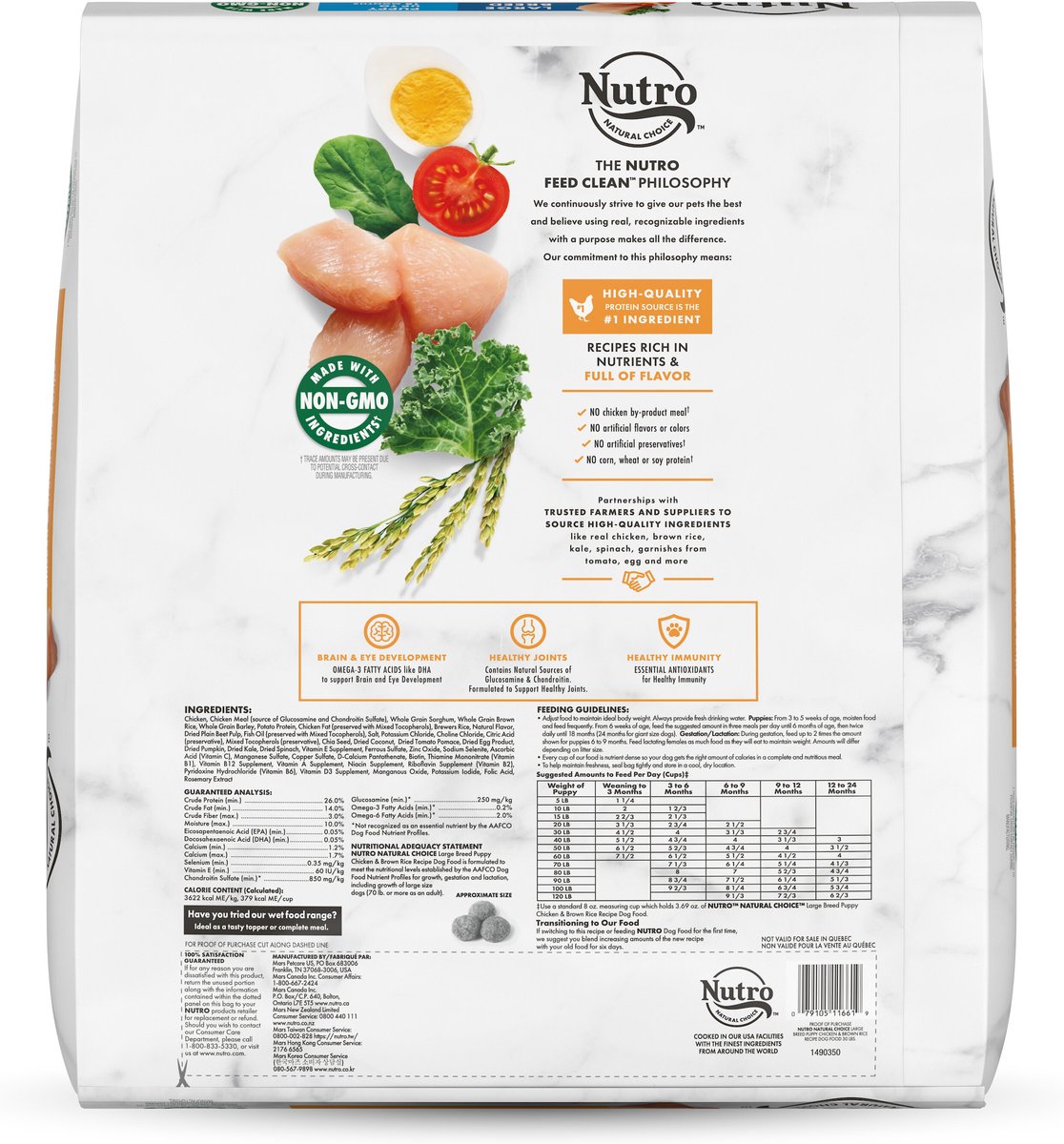 Nutro Natural Choice Large Breed Puppy Chicken and Brown Rice Recipe Dry Dog Food